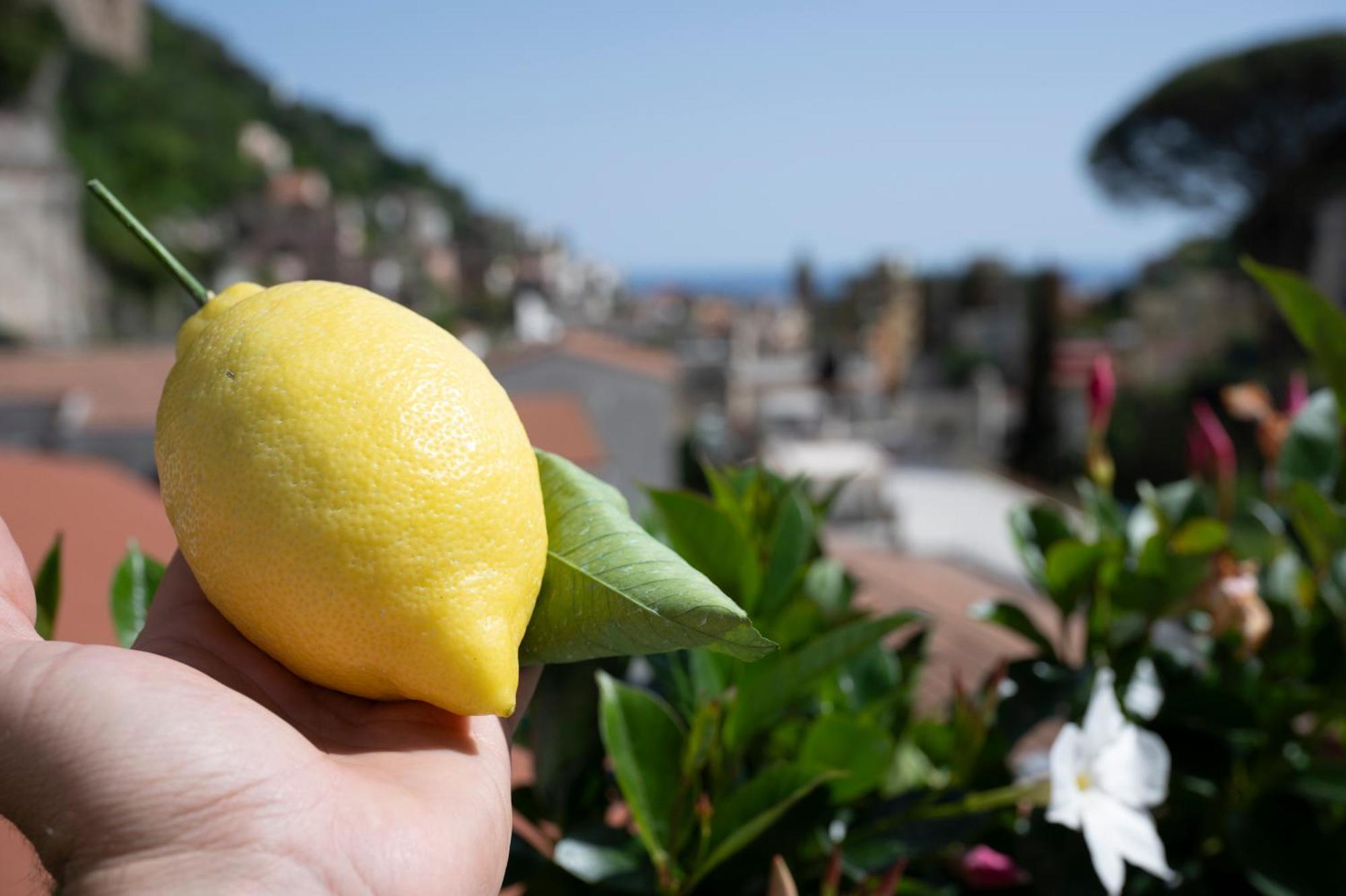 Valle D'Amalfi Suites Екстериор снимка